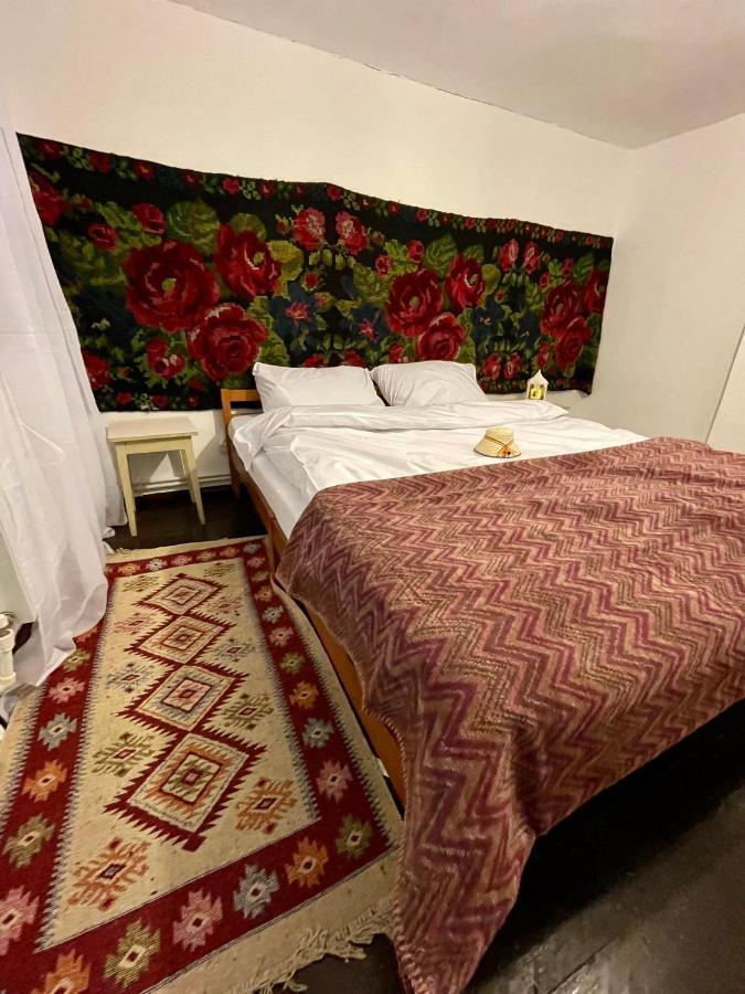 Casa Fantana - La Poalele Muntilor -50 De Metri De Partia Olimpica Villa Statjunea Borsa ภายนอก รูปภาพ